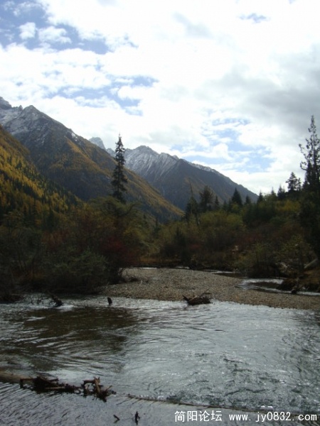 DSC04246.JPG