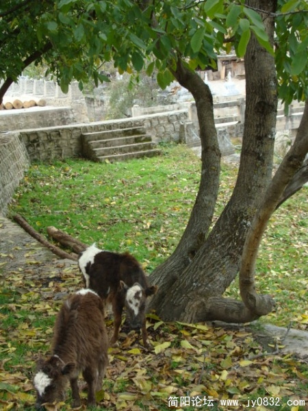 DSC03836.JPG