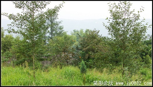 照片 058.jpg