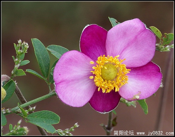 照片 047.jpg