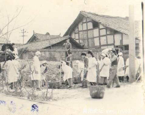 简城爱国卫生运动