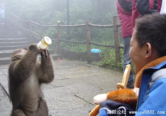 QQ截图未命名.jpg