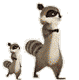 未命名.gif