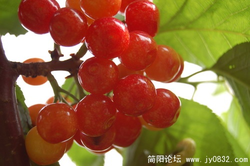 DSC_0200_缩小大小.JPG