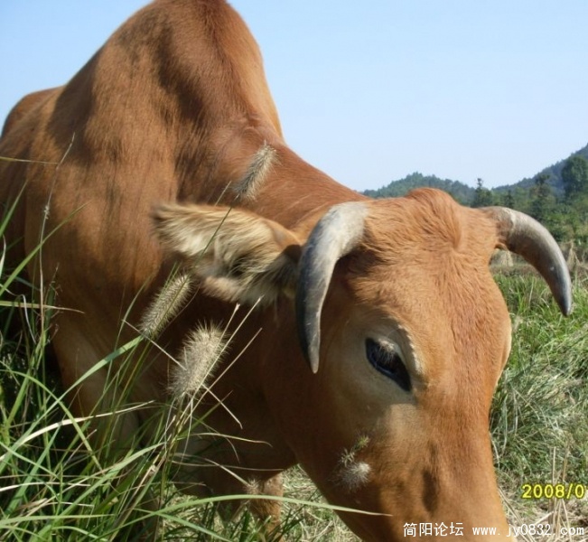 未命名2.jpg