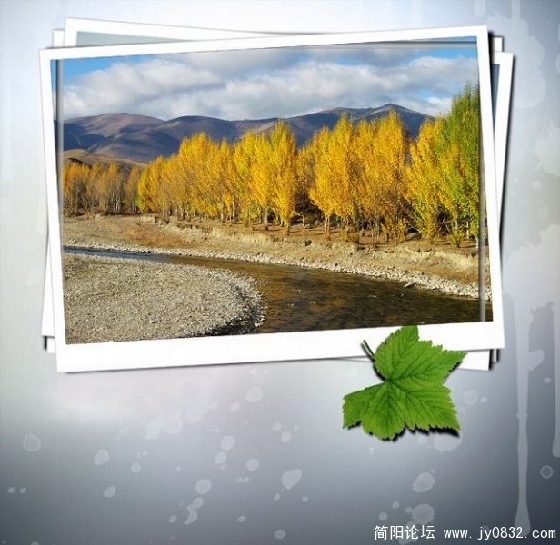 稻城秋意浓.jpg