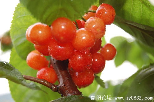 DSC_0193_缩小大小.JPG