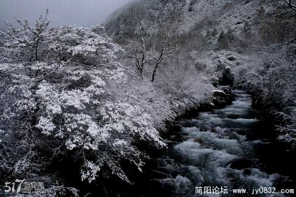 20081104_b973350b19f01b5c1227sp06wKtZm7yy.jpg