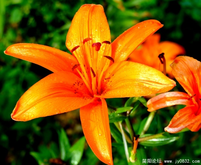 DSCF2689.jpg