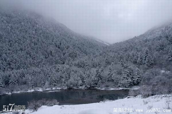 20081104_7ddafa337ffcf43b83ea9GpooH4Jk0kV.jpg
