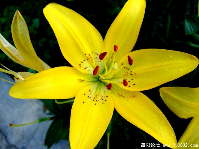 DSCF2685.jpg