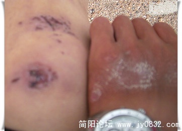 DSCI0668.jpg