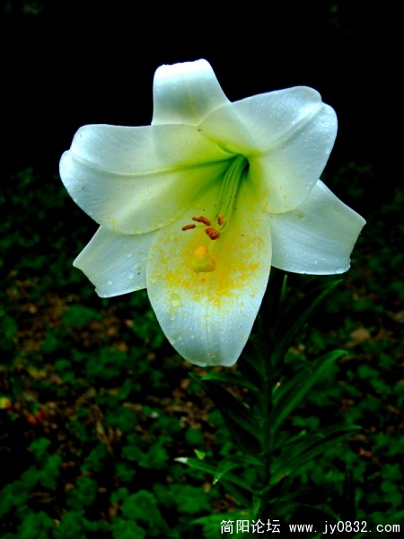 DSCF2851.jpg