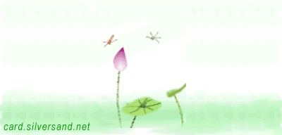 photoimg369.qq.gif