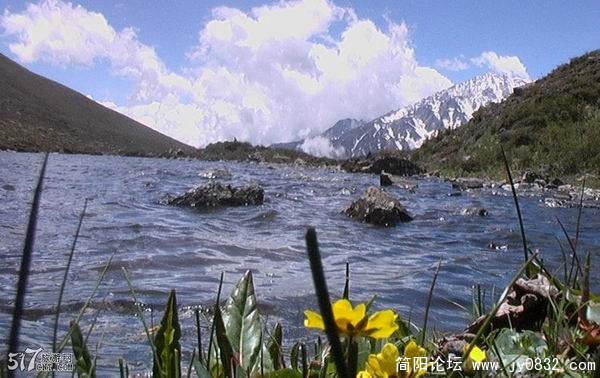 20081104_89c819745135df4d684aZxRvU8r5SJfU.jpg