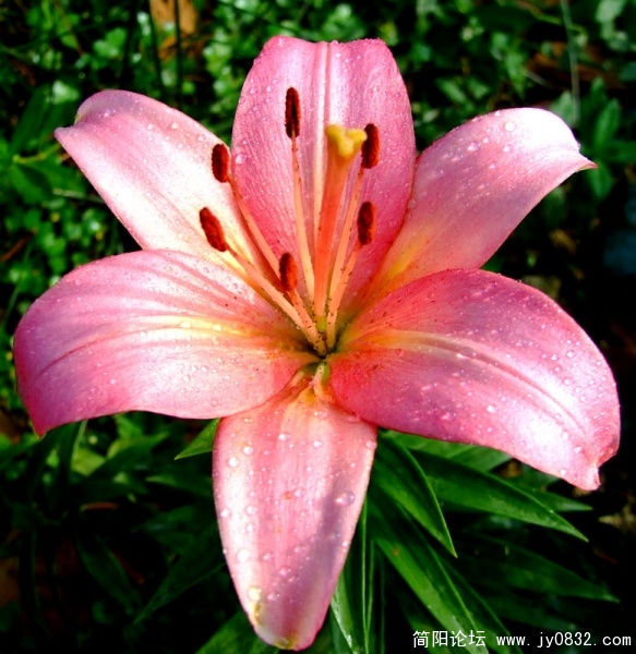 DSCF2693.jpg