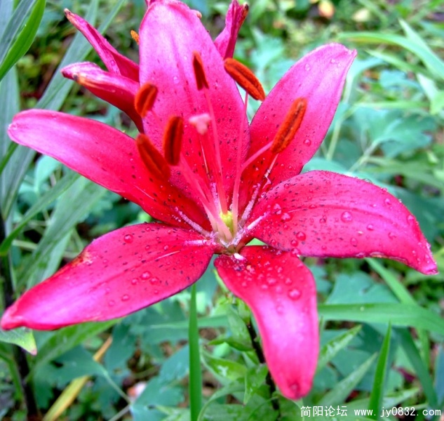 DSCF2744.jpg