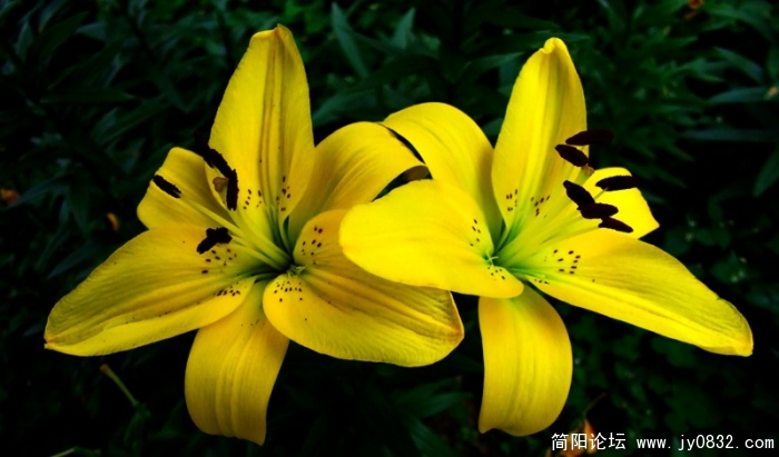 DSCF2757.jpg
