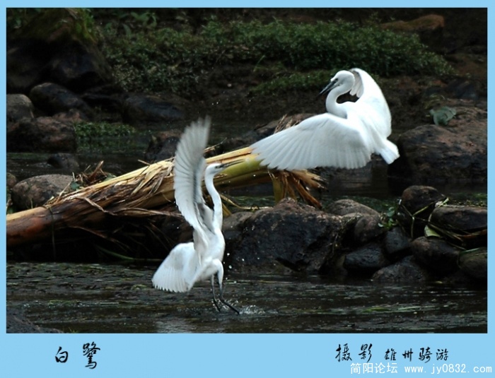 你给我消失