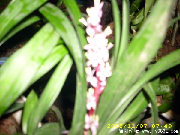 DSCI0016.jpg