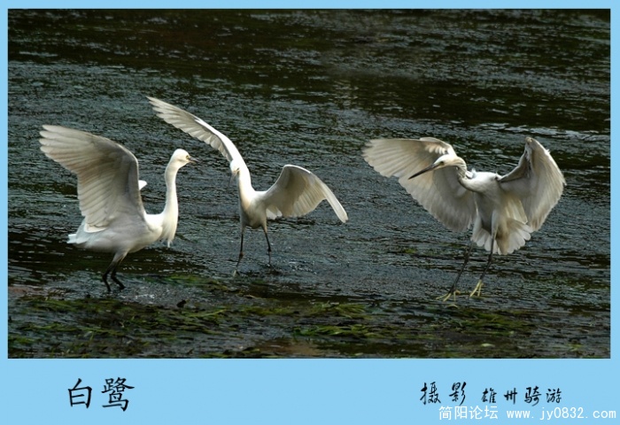 兄弟三
