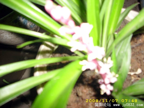 DSCI0015.jpg