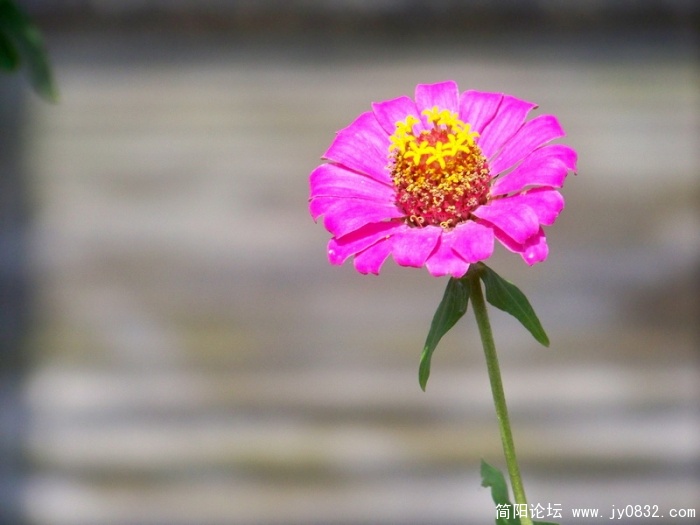 100_2041.JPG