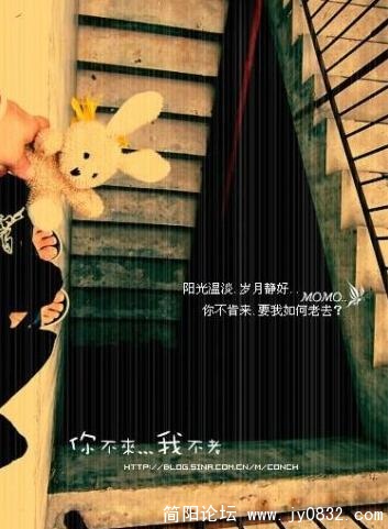 你不来我不老.jpg