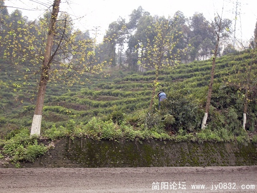 DSCI0031.JPG