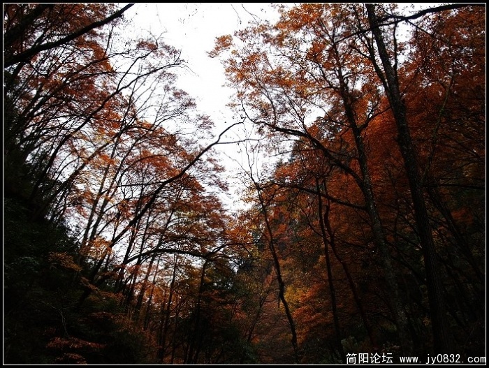 PB080444.JPG