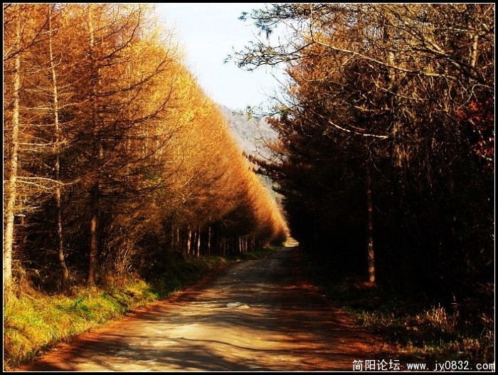 DSC08180.JPG