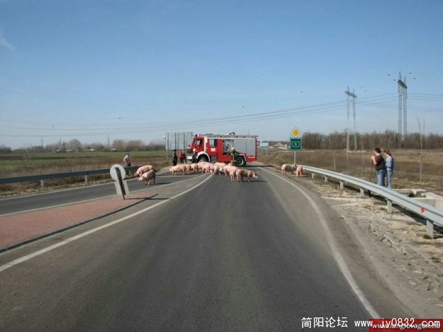 h04.jpg