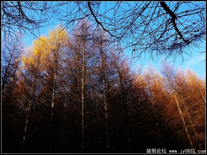 DSC08176.JPG