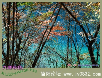 九寨秋色之二——16.jpg