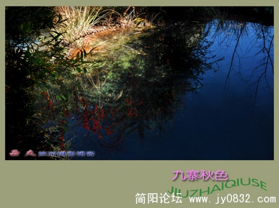 九寨秋色之二——14.jpg
