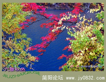 九寨秋色之二——03.jpg