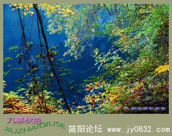 九寨秋色之二——06.jpg