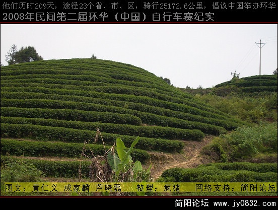 茶叶园.JPG