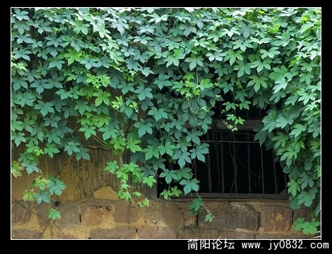 DSCN0334.jpg