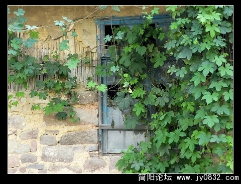 DSCN0330.jpg
