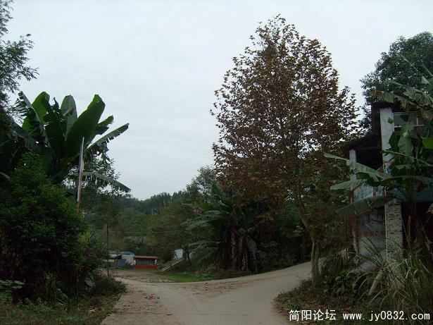 S7300041.JPG