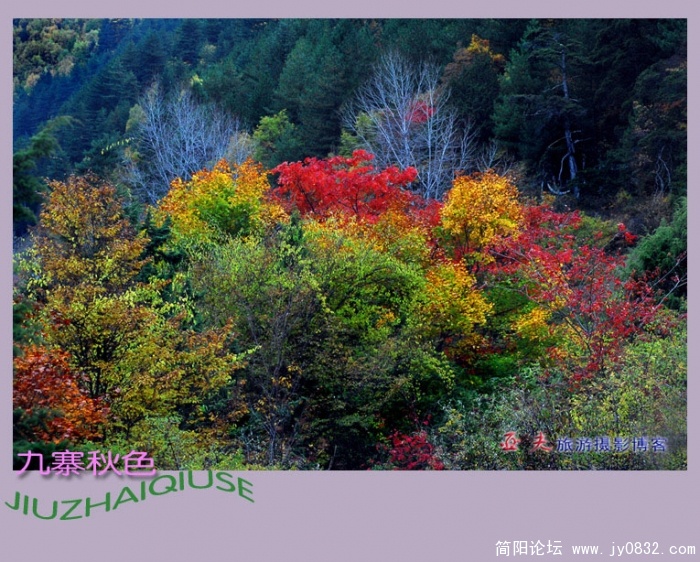 九寨秋色之三——01副本副本.jpg