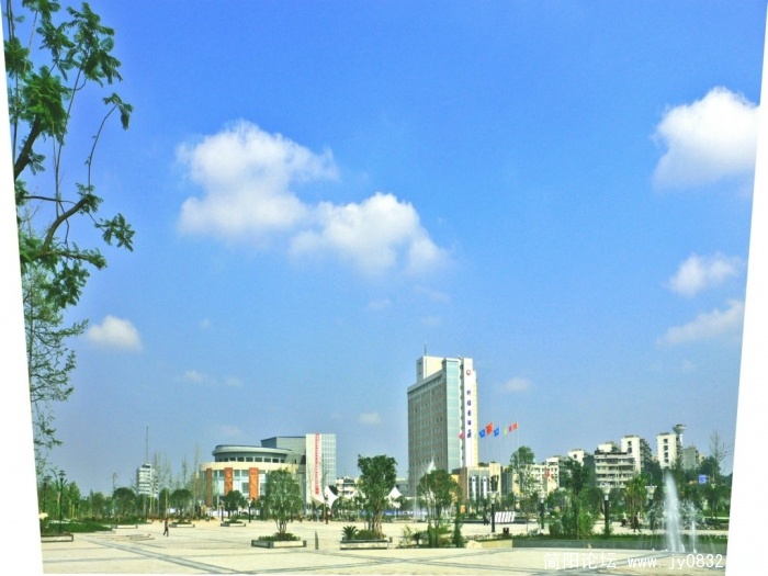 P1050043.jpg