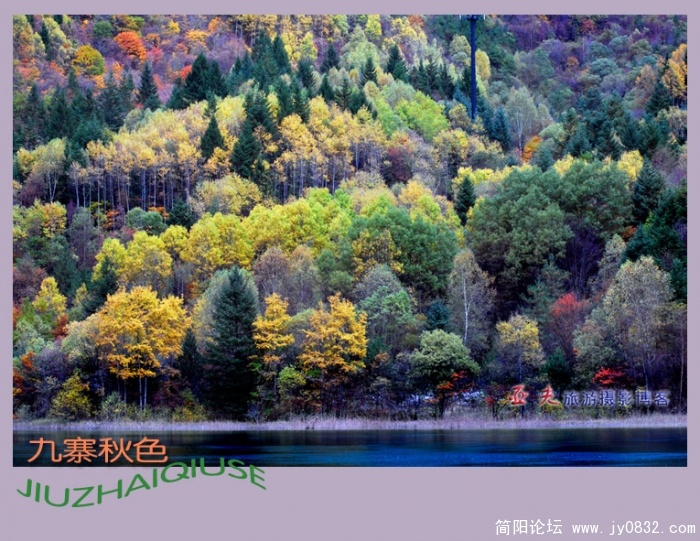 九寨秋色之三——14副本.jpg