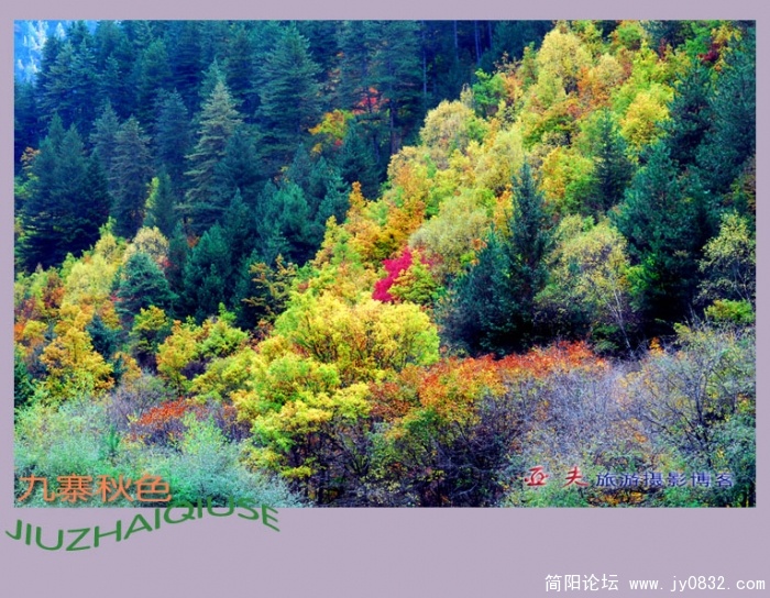 九寨秋色之三——04副本.jpg