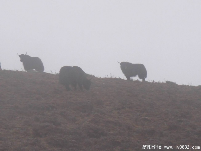 调整大小 DSC03758.jpg