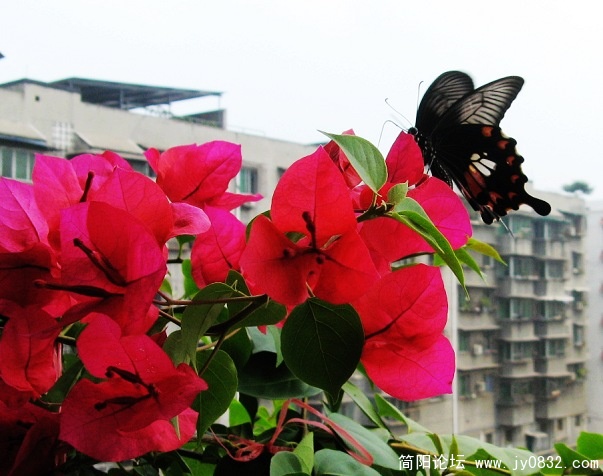 STA_2635.jpg