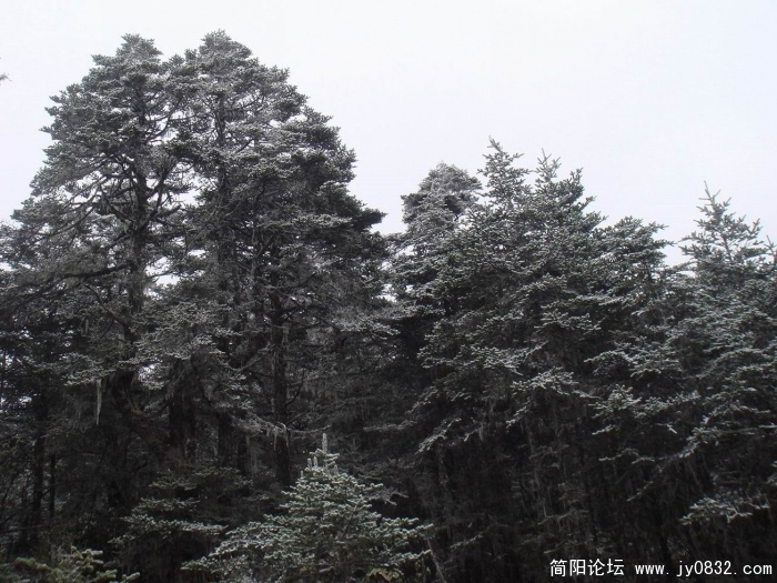 调整大小 DSC03742.jpg