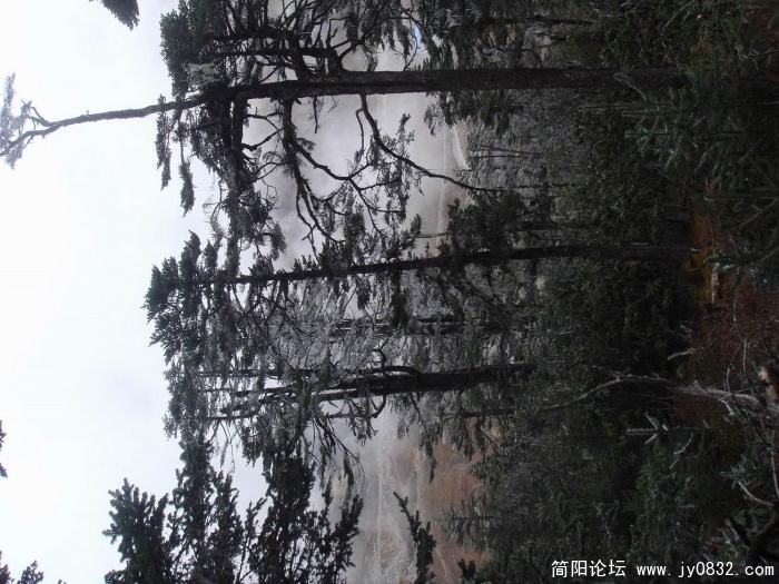 调整大小 DSC03741.jpg