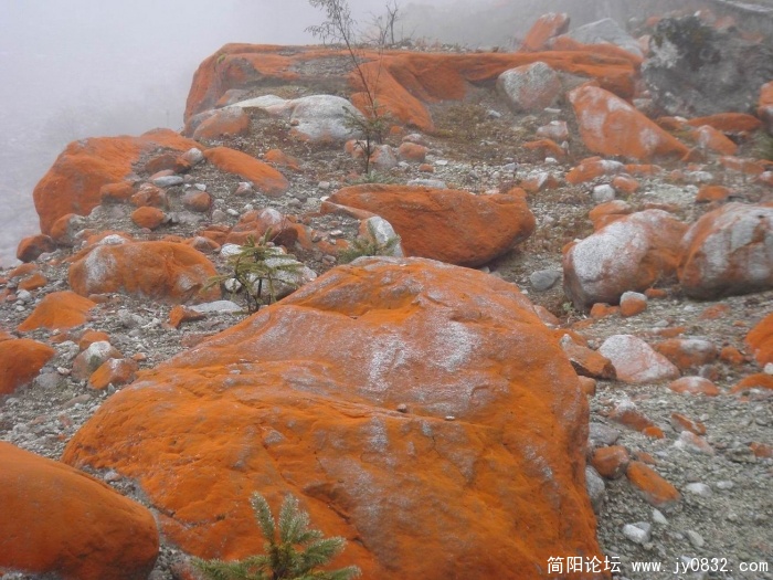 调整大小 DSC03733.jpg